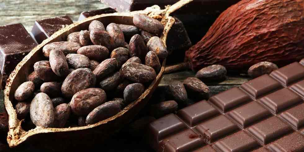 Kakao fiyatlarındaki hızlı düşüş sürüyor