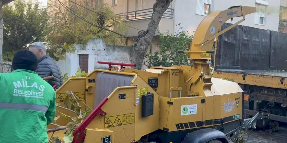 Muğla Milas'ta dal öğütme makinesi hizmette