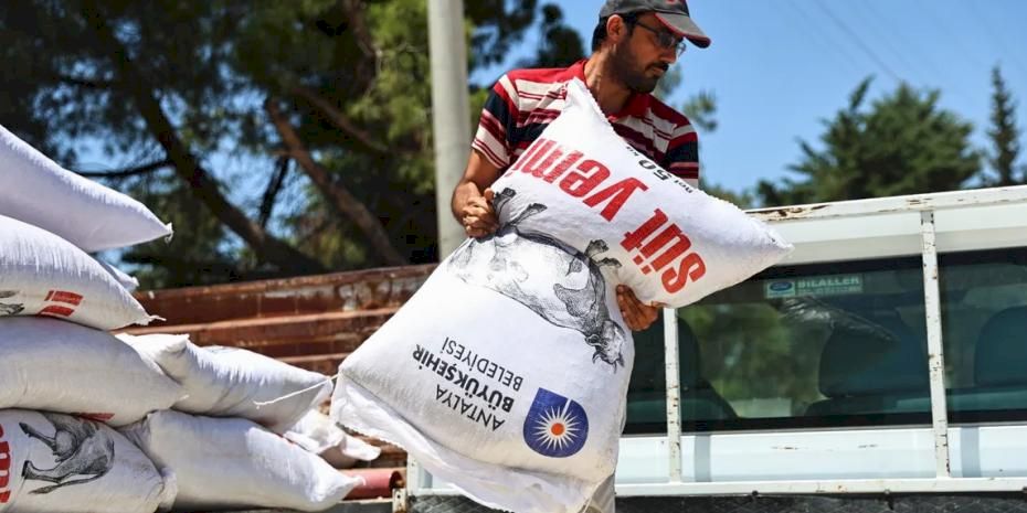 Antalya’da hayvancılığa 2025 yılında büyük katkı