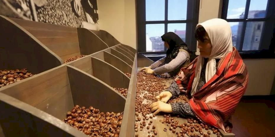 Türkiye’nin ilk fındık müzesi yoğun ilgi görüyor