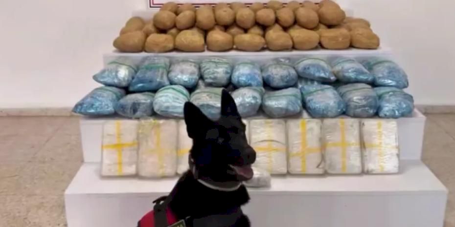 63 ilde 1 tonu aşkın uyuşturucu ele geçirildi