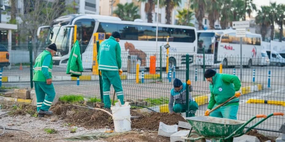 Muğla Milas yeşile bürünüyor