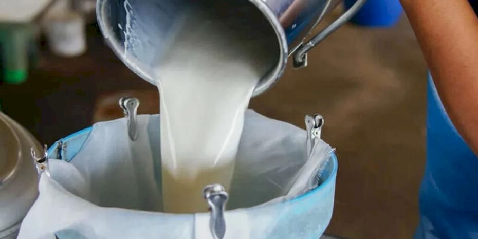 Çiğ sütte beklenti karşılanmadı! Referans fiyat açıklandı