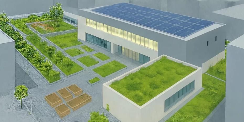 İzmir çatılarda yeşil devrimi başlatıyor