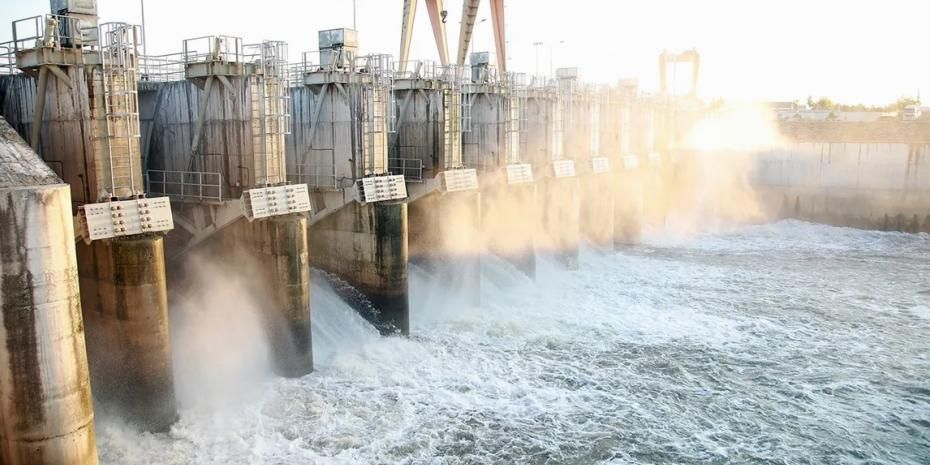 Sakarya'da 716 bin ağaç dikimine eş değer üretim... SASKİ'den 2025'te çifte rekor