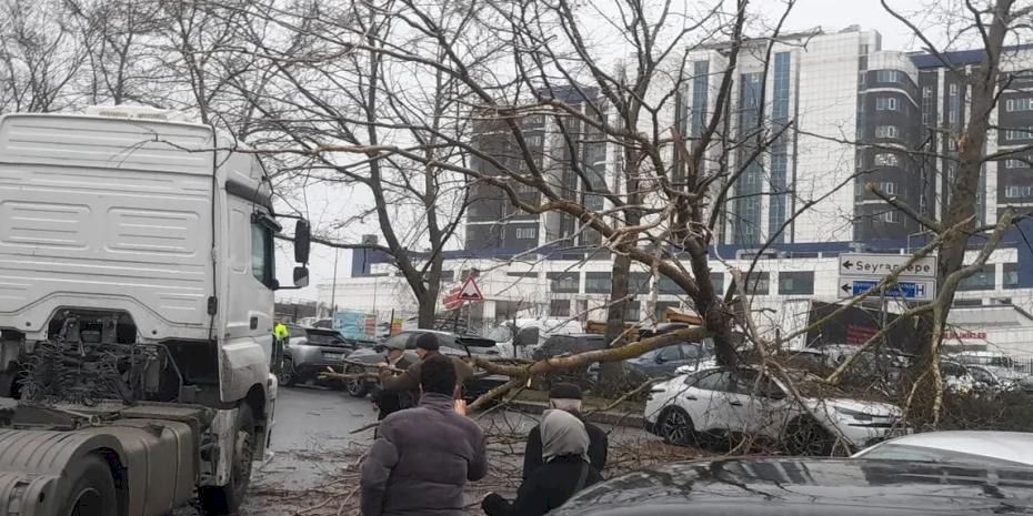 İstanbul'da fırtına: Ağaç devrildi, sahil yolları kapandı!