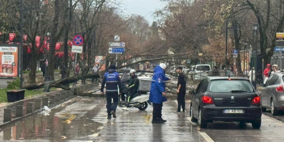 Kocaeli Büyükşehir'de lodos müdahalesi