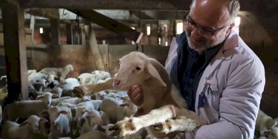 Kocaeli’de 2025 'çiftçinin yılı' oldu... 166 milyon TL destek sağlandı