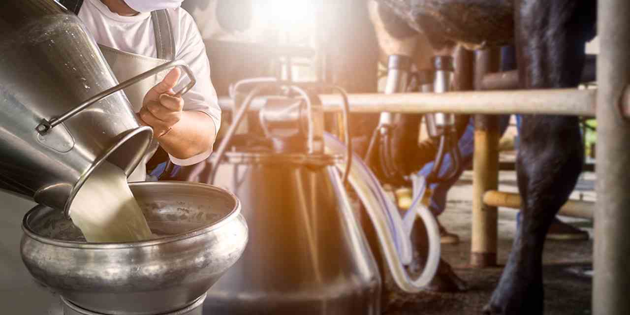 'Üreticimizi korumazsak Türkiye’nin sütü tehlikede'