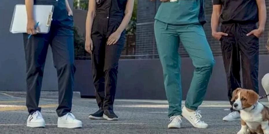 Veteriner Hekim-Sen’den hukuki zafer... Koruyucu giyim yardımı davası kazanıldı