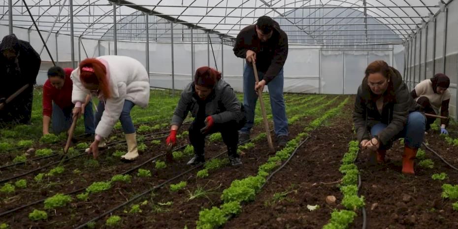 Kocaeli'de kadın ve gençler tarıma kazandırılıyor