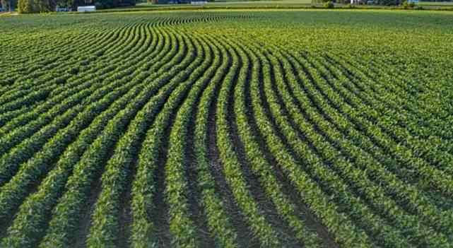 TAKE ile tarım arazileri daha verimli kullanılıyor