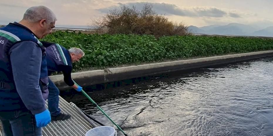 Gediz'de çevre kıyımına geçit yok!