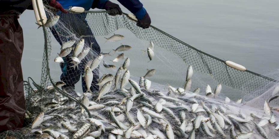 Su ürünleri sektörü ihracatta 4 Milyar Doları aştı