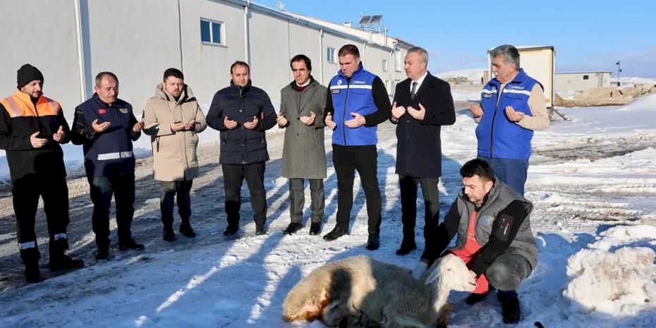 Sivas'ta kar yağışına şükür kurbanı
