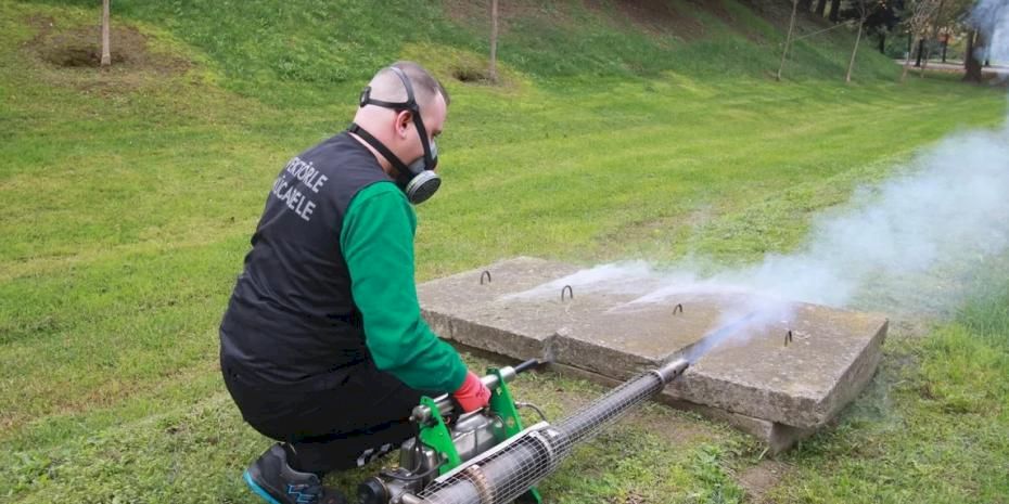 Kocaeli'de sivrisinekle mücadele çalışmaları sonuç verdi