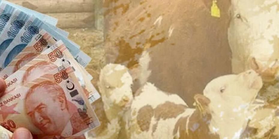 Çiftçilere 226 milyon TL destek hesaplarda!