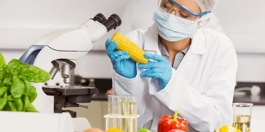 Gıda katkı maddelerine yeni düzenleme... İşletmelere 1 Mart'a kadar uyum süresi