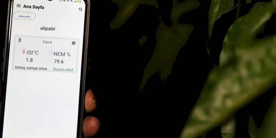 Antalya’da sera üreticisinin don nöbeti tarih oldu