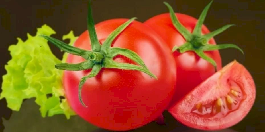 Muğla Milas'ta talep edene ücretsiz yerel tohum