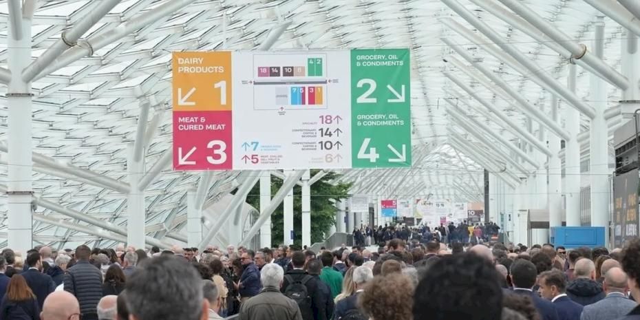 Türkiye, Avrupa’nın 3. Büyük Meyve-Sebze İhracatçısı Olarak Küresel Sahneye Çıkıyor