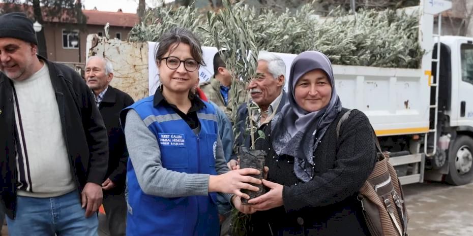 Muğla Ula’da üreticiye zeytin ve ceviz fidanı desteği