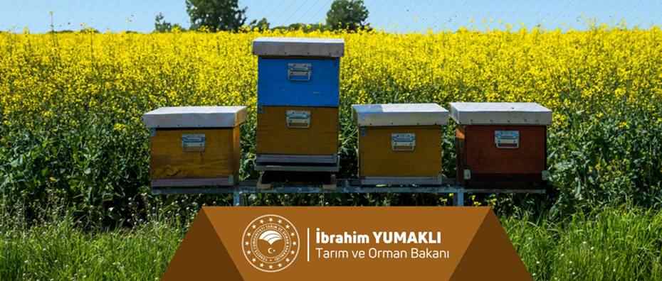 Çiftçiye dev destek ödemesi