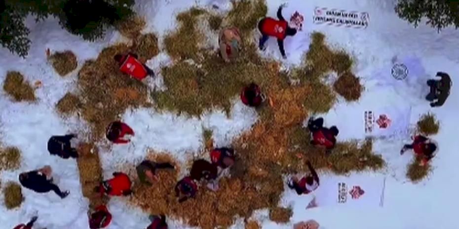Ilgaz Dağı’na yüzlerce kilo yem bırakıldı