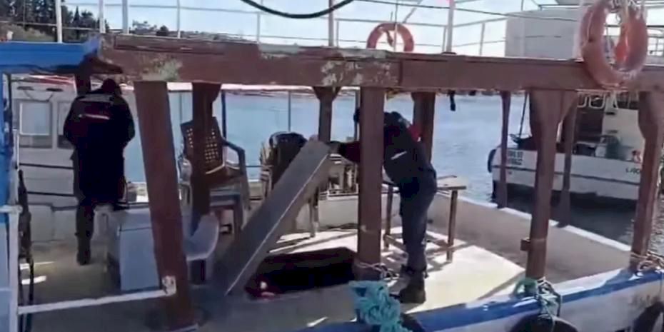 Göçmen kaçakçılarına 26 ilde 59 tutuklama!