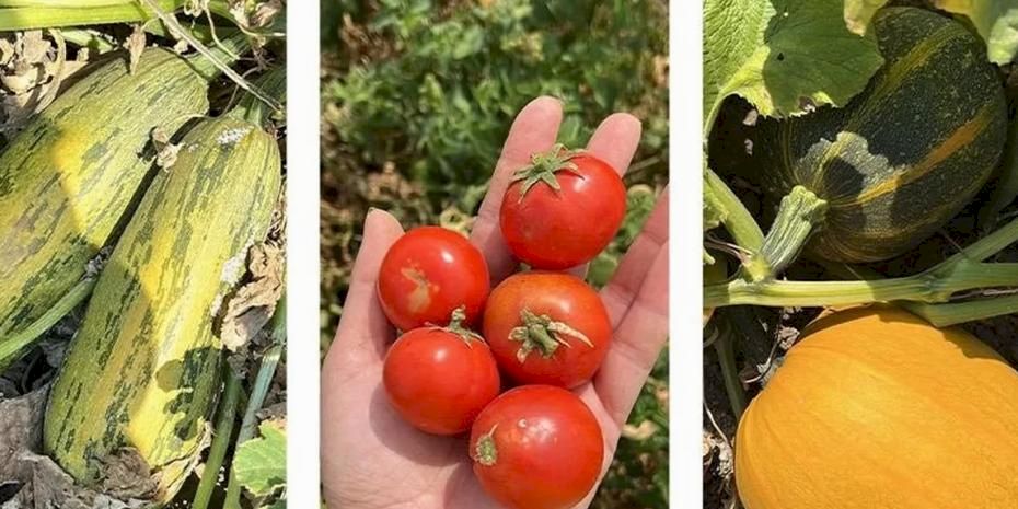 Balıkesir'de ‘ümit var’ sayısı 84’e yükseldi