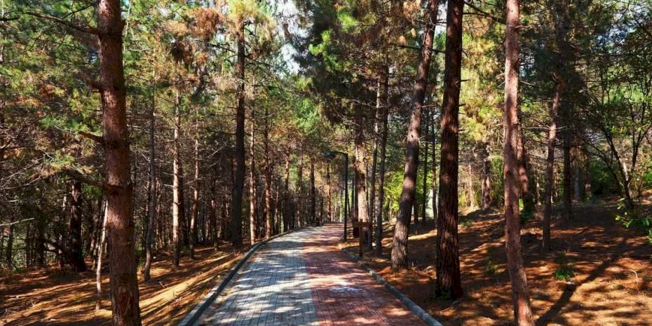 Sakarya'da Sapanca Gölü'nde huzur dolu yaşam alanı açıldı