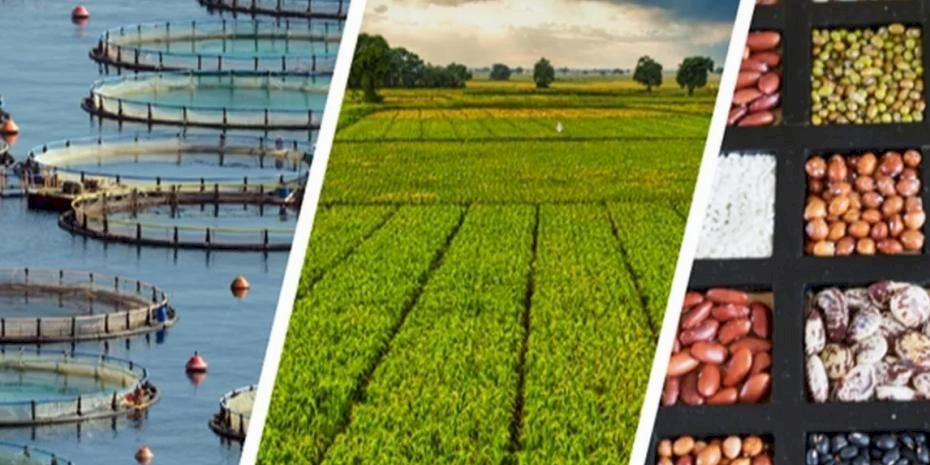 255 milyon lira çiftçilerin hesabında