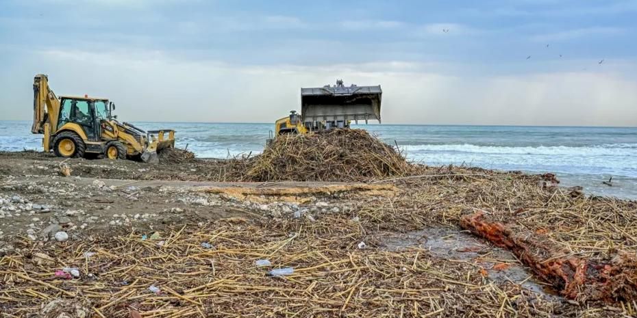 Mersin sahillerinde selin izleri siliniyor