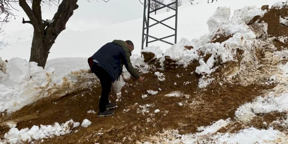 Batman Sason’da yabani hayvanlar için yemleme çalışması