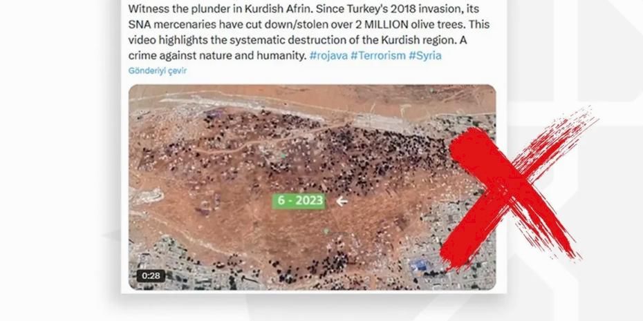 Afrin'de 2 milyon zeytin ağacı kesildi iddiasına İletişim'den yanıt