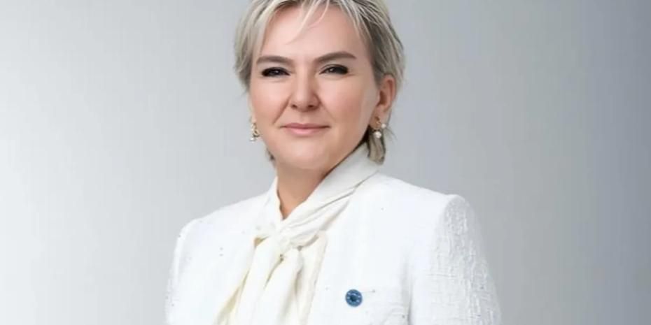 Epstein dosyası TBMM gündeminde... Özel jet inişleri ve yolcu kayıtları soruldu