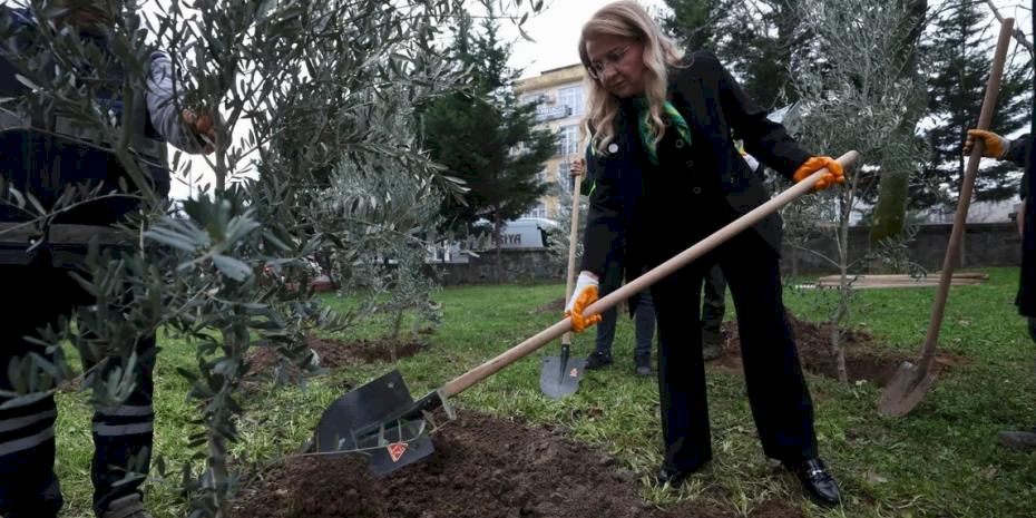 11 il için 11 fidan, İstanbul Bakırköy’de toprakla buluştu