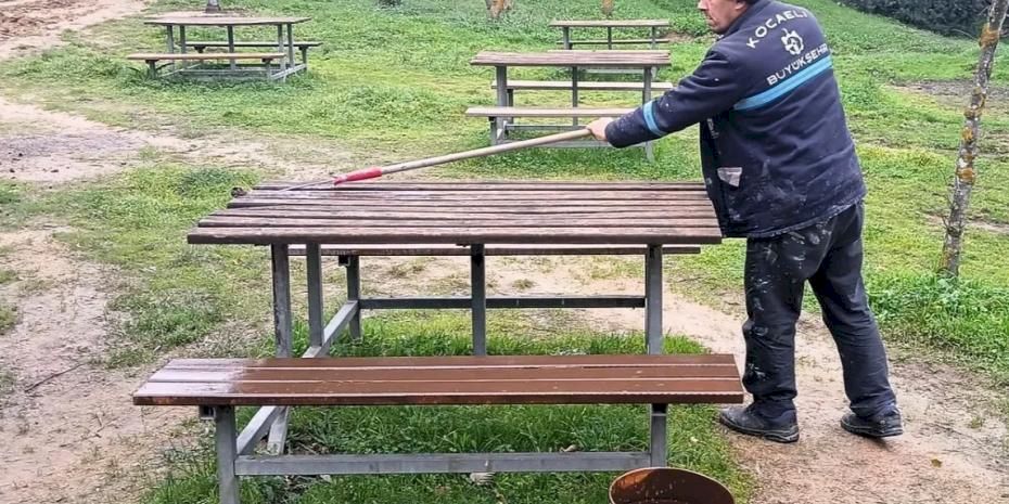 Kocaeli Gebze Gaziler Dağı Tabiat Parkı’na bakım