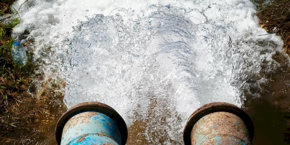 Yasağa rağmen mısır ekimi 15 Milyar TL’lik kayba yol açtı