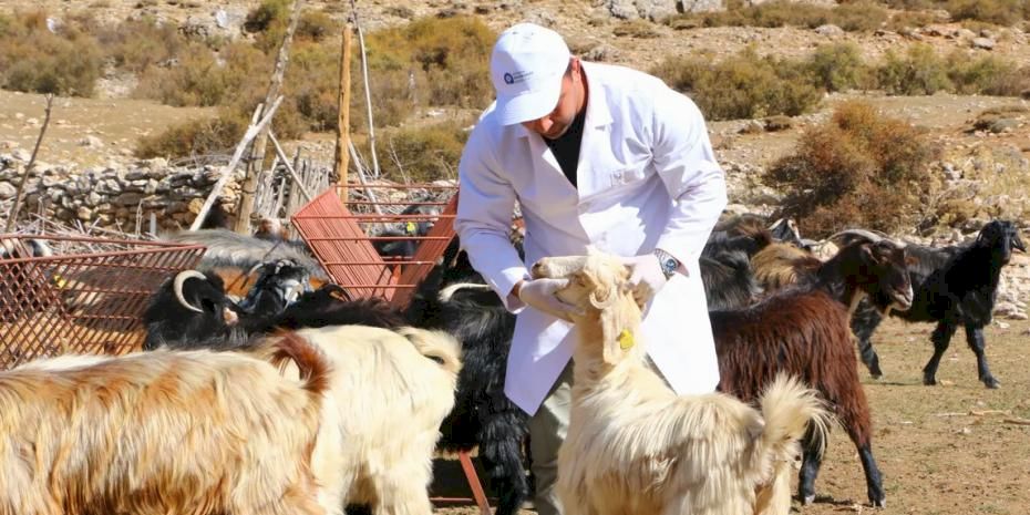 Antalya’da 'Çoban Haritası Projesi' büyüyerek devam ediyor