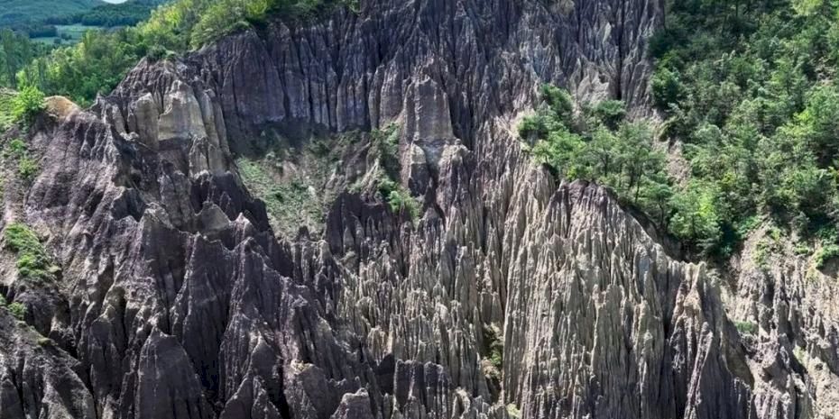 Korunan alan sayısı 692'ye yükseldi