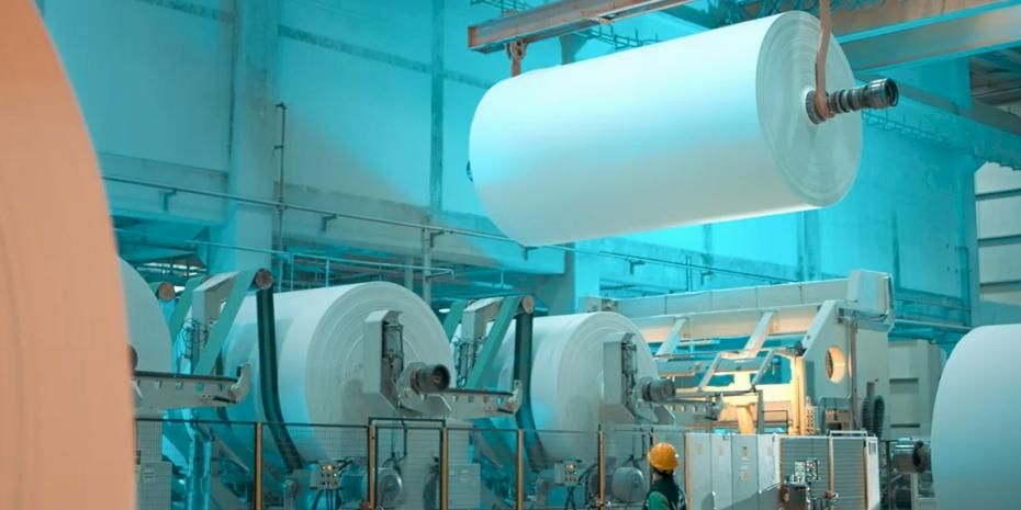 Lila Kağıt, 2025'i güçlü finansal performansla kapattı