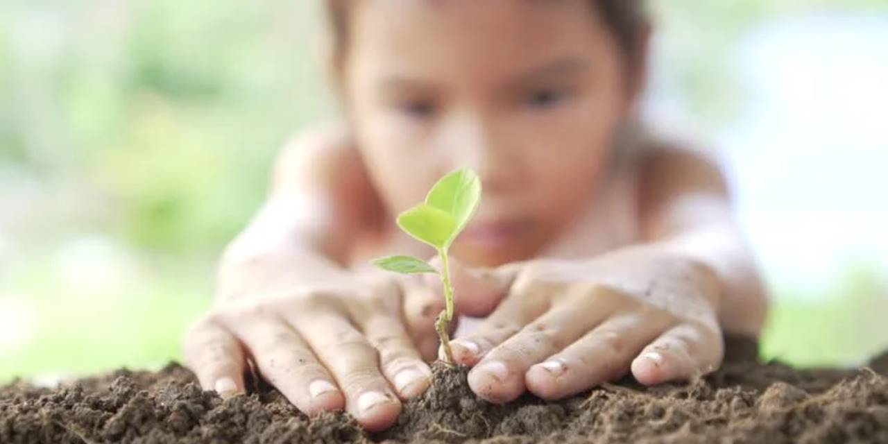 Dr. Tunçez: ‘İklim değişikliğiyle mücadelede, geleceğimiz için şimdiden harekete geçmeliyiz’