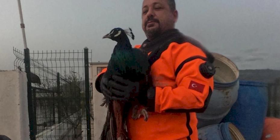 İzmir İtfaiyesi sessiz canlar için zamanla yarıştı