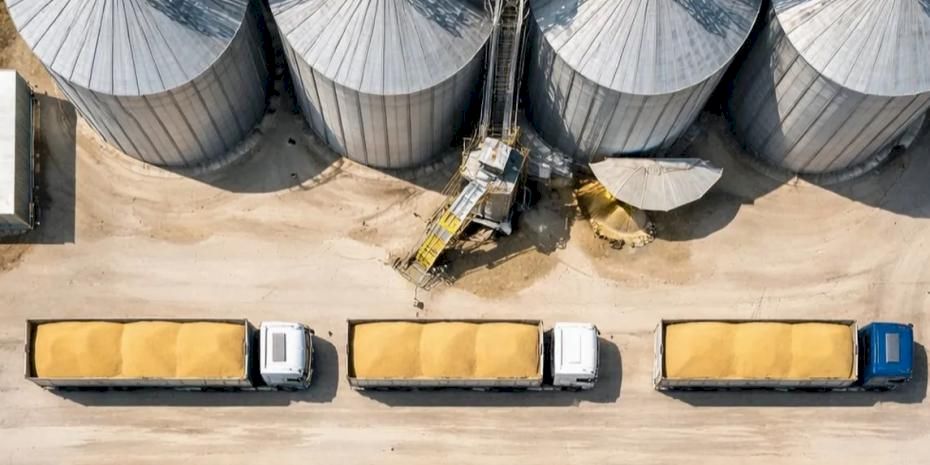 TMO’dan buğday satışı... 1,2 milyon ton stok günlük açık artırmada