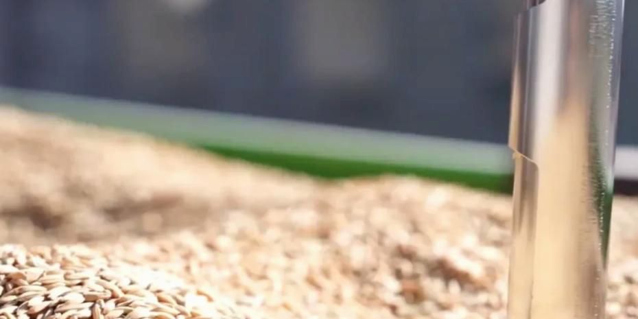 TMO’da çeltik alımları sürüyor