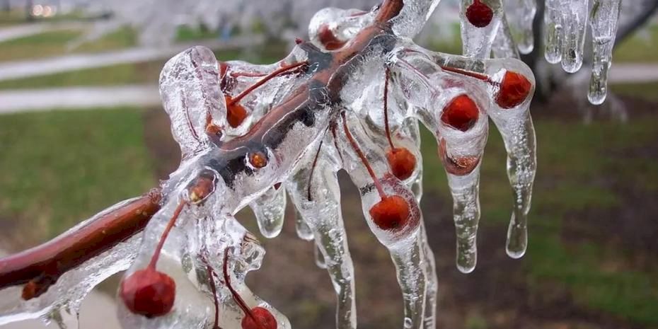Uzmanlar uyarıyor: Meyve bahçelerinde don riski için mikro-sprinkler çözümleri öne çıkıyor