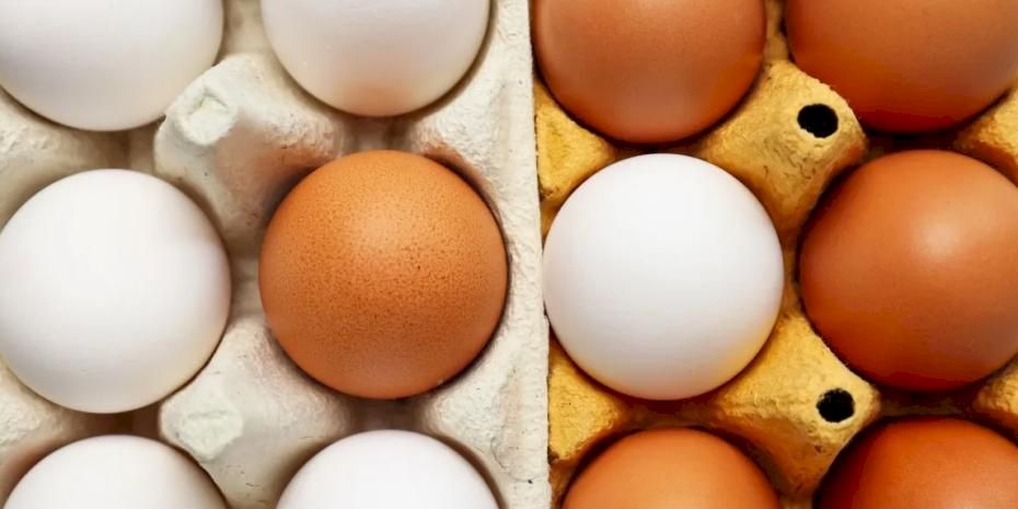 Yumurtanın doğrudan arzında limit artışı... Resmi Gazete'de yayımlandı