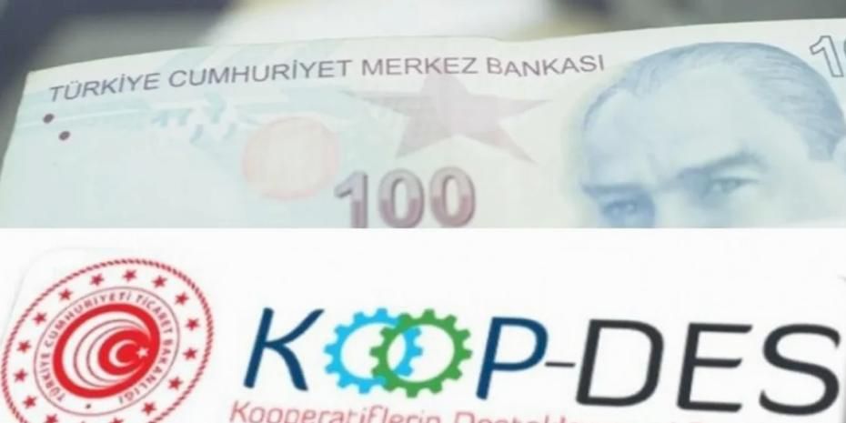 KOOP-DES Yönetmeliği’nde değişiklik Resmi Gazete'de