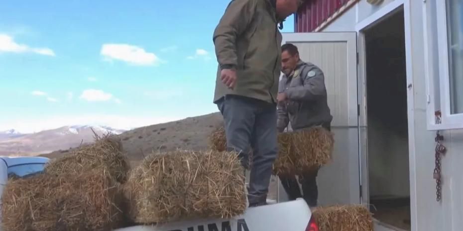 Niğde Demirkazık’ta yaban hayatına kış desteği